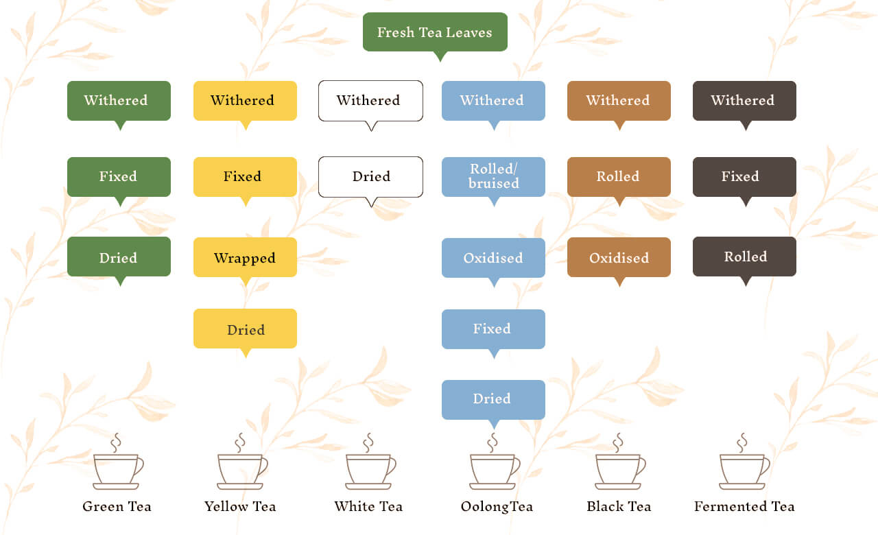 Assam Oolong Or Tisane Types Of Tea You Should Know The Hillcart Tales Blog - roblox notoriety how to change your chat font